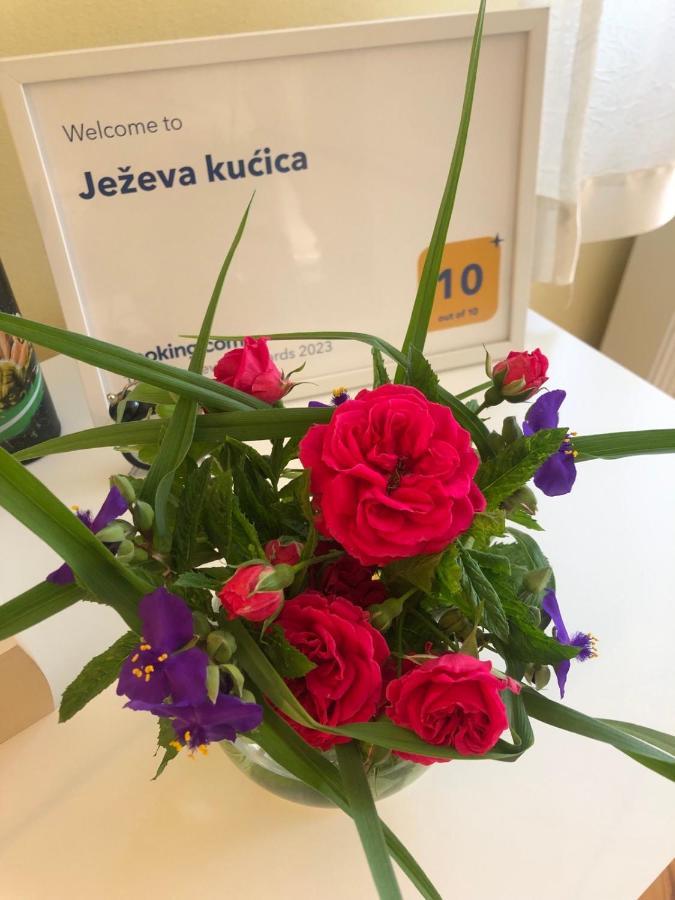 Hedgehog'S Home - Jezeva Kucica Free Parking Сараево Экстерьер фото